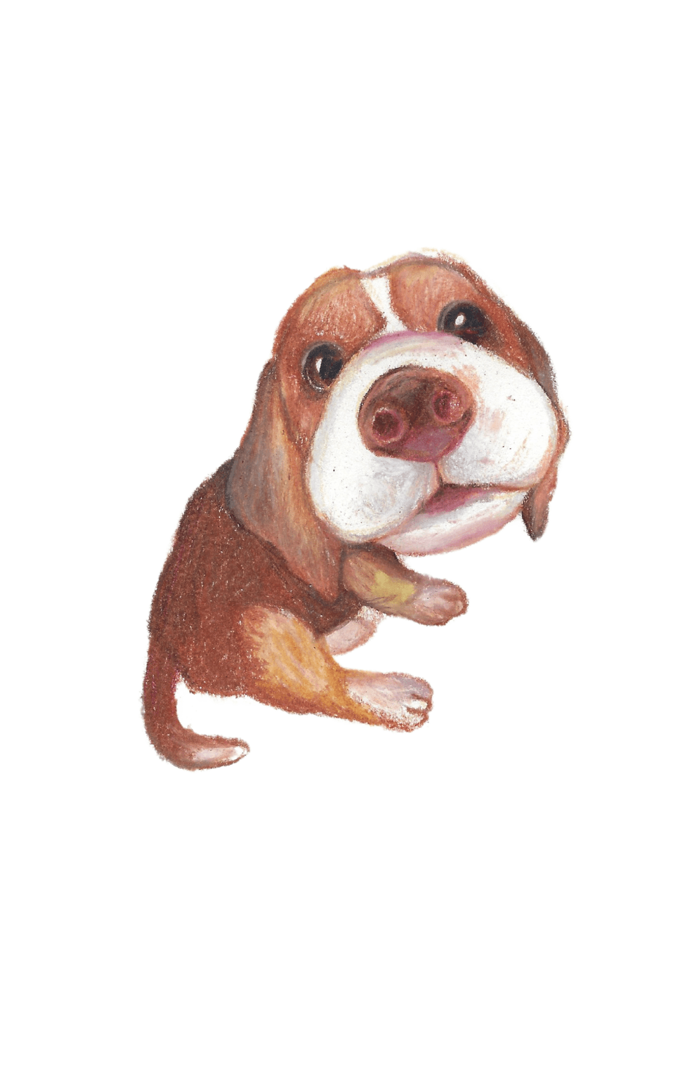 Card Illustrations