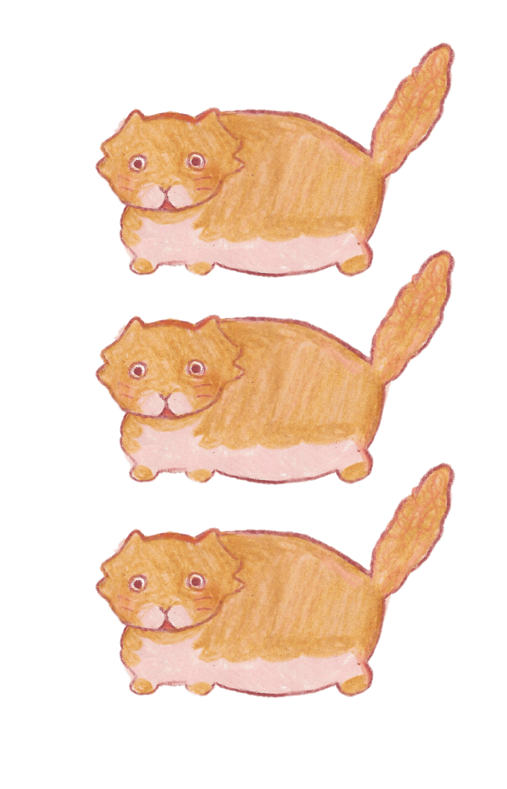 Card Illustrations