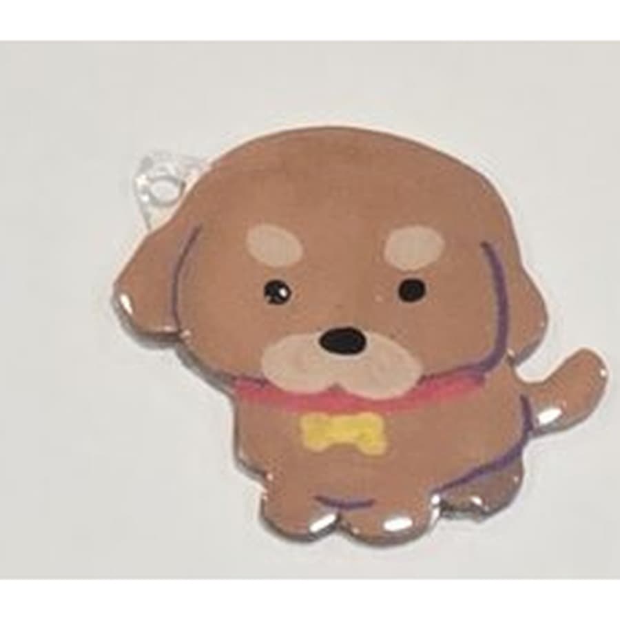 Acrylic Pet Keychain