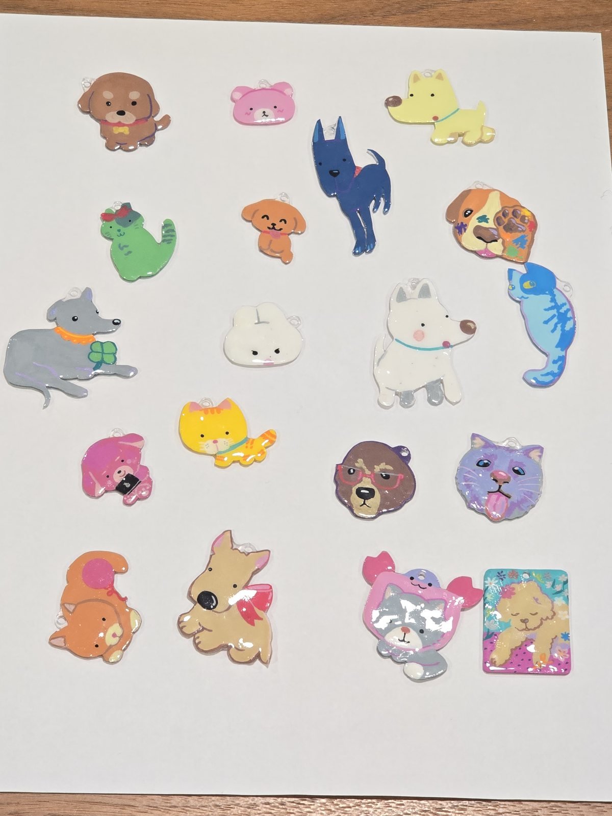 A sheet of finished glossy pet charm keychains in varied animal designs